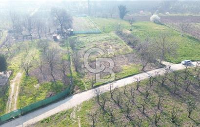 CB KLASS KİRALIK 2500 M2 YOLU MEVCUT TARLA