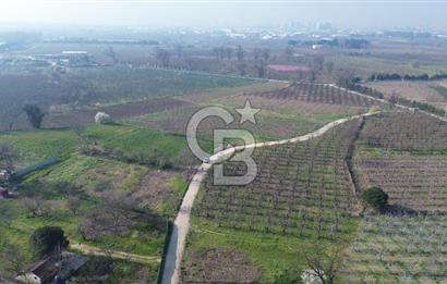 CB KLASS KİRALIK 2500 M2 YOLU MEVCUT TARLA