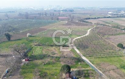 CB KLASS KİRALIK 2500 M2 YOLU MEVCUT TARLA