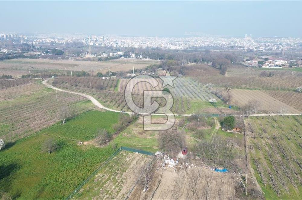 CB KLASS KİRALIK 2500 M2 YOLU MEVCUT TARLA