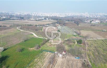 CB KLASS KİRALIK 2500 M2 YOLU MEVCUT TARLA