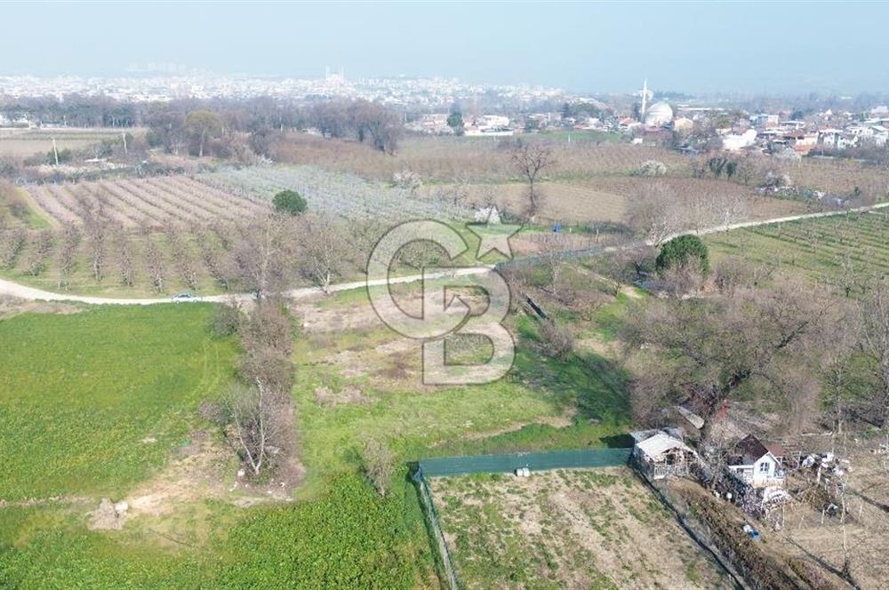 CB KLASS KİRALIK 2500 M2 YOLU MEVCUT TARLA