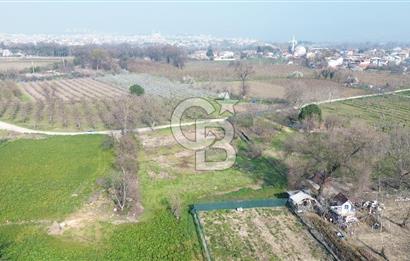 CB KLASS KİRALIK 2500 M2 YOLU MEVCUT TARLA