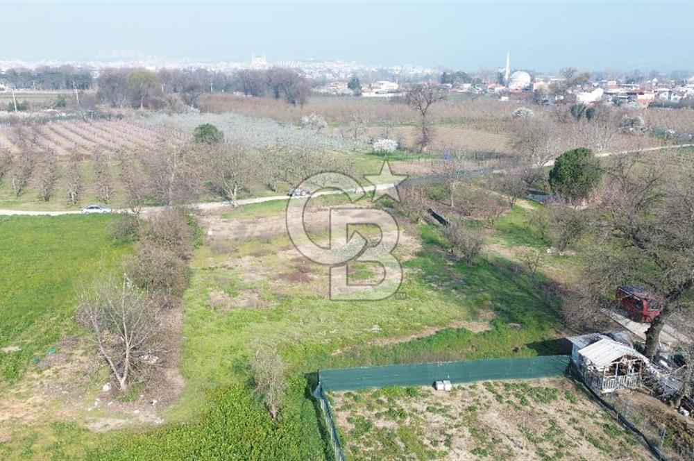 CB KLASS KİRALIK 2500 M2 YOLU MEVCUT TARLA