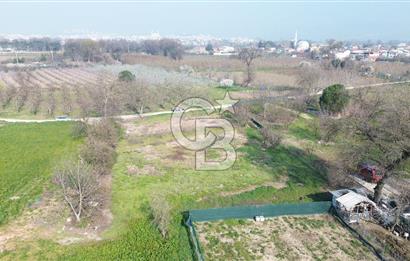 CB KLASS KİRALIK 2500 M2 YOLU MEVCUT TARLA