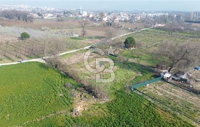 CB KLASS KİRALIK 2500 M2 YOLU MEVCUT TARLA