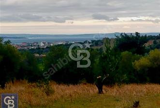 ÇANAKKALE LAPSEKİ ÇARDAK'TA SATILIK TARLA  - 5 - 342103