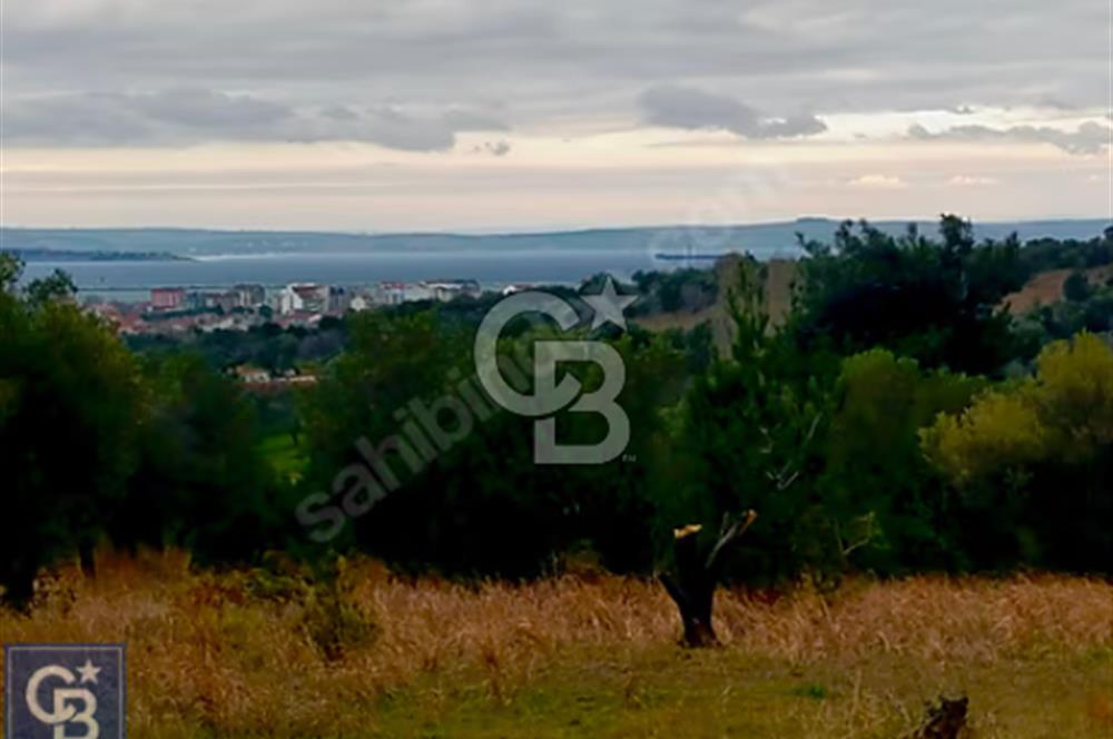 ÇANAKKALE LAPSEKİ ÇARDAK'TA SATILIK TARLA 