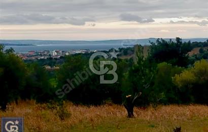 ÇANAKKALE LAPSEKİ ÇARDAK'TA SATILIK TARLA 