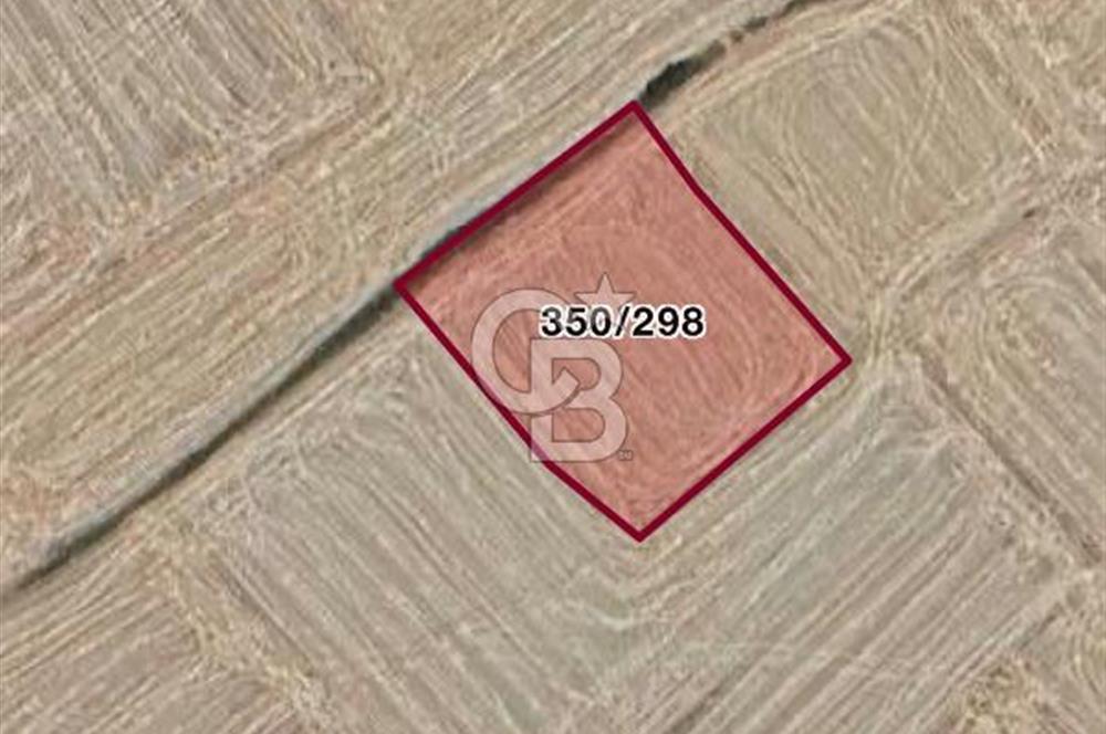 ECEABAT DENİZE YAKIN TARLA ARAZİSİ