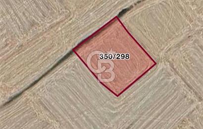 ECEABAT DENİZE YAKIN TARLA ARAZİSİ