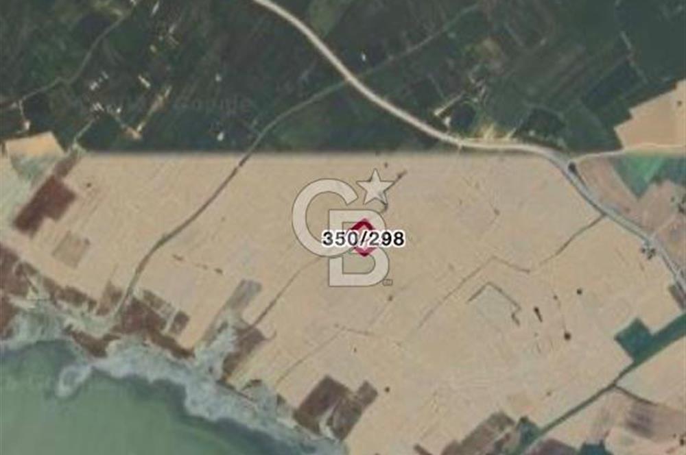 ECEABAT DENİZE YAKIN TARLA ARAZİSİ