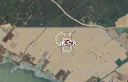 ECEABAT DENİZE YAKIN TARLA ARAZİSİ