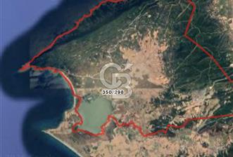 ECEABAT DENİZE YAKIN TARLA ARAZİSİ - 3 - 342099