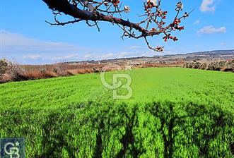 LAPSEKİ UMURBEY, KÖPRÜ MANZARALI,SOĞUK HAVA DEPOSU İMARLI TARLA - 9 - 342067