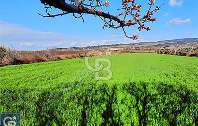 LAPSEKİ UMURBEY, KÖPRÜ MANZARALI,SOĞUK HAVA DEPOSU İMARLI TARLA