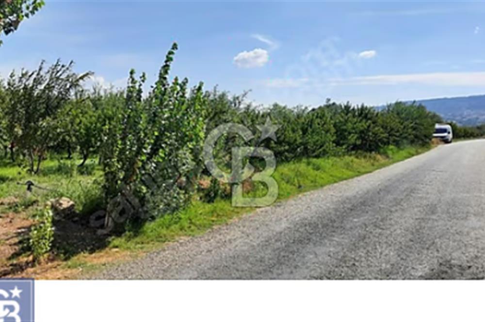 LAPSEKİ UMURBEY, KÖPRÜ MANZARALI,SOĞUK HAVA DEPOSU İMARLI TARLA