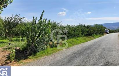 LAPSEKİ UMURBEY, KÖPRÜ MANZARALI,SOĞUK HAVA DEPOSU İMARLI TARLA