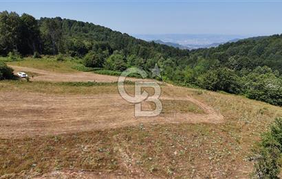 EFSANE YAYLA KİRALIK... KOCAELİ BAŞİSKELE SERVETİYECAMİ 20.676m2
