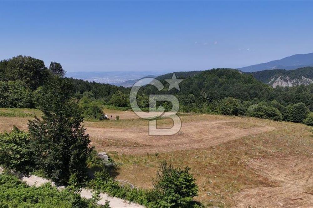 EFSANE YAYLA KİRALIK... KOCAELİ BAŞİSKELE SERVETİYECAMİ 20.676m2