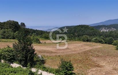 EFSANE YAYLA KİRALIK... KOCAELİ BAŞİSKELE SERVETİYECAMİ 20.676m2
