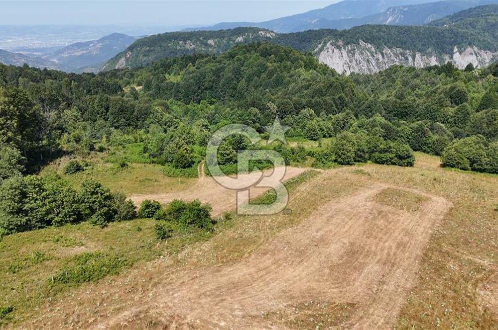 EFSANE YAYLA KİRALIK... KOCAELİ BAŞİSKELE SERVETİYECAMİ 20.676m2