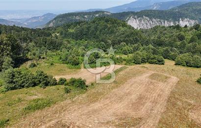 EFSANE YAYLA KİRALIK... KOCAELİ BAŞİSKELE SERVETİYECAMİ 20.676m2