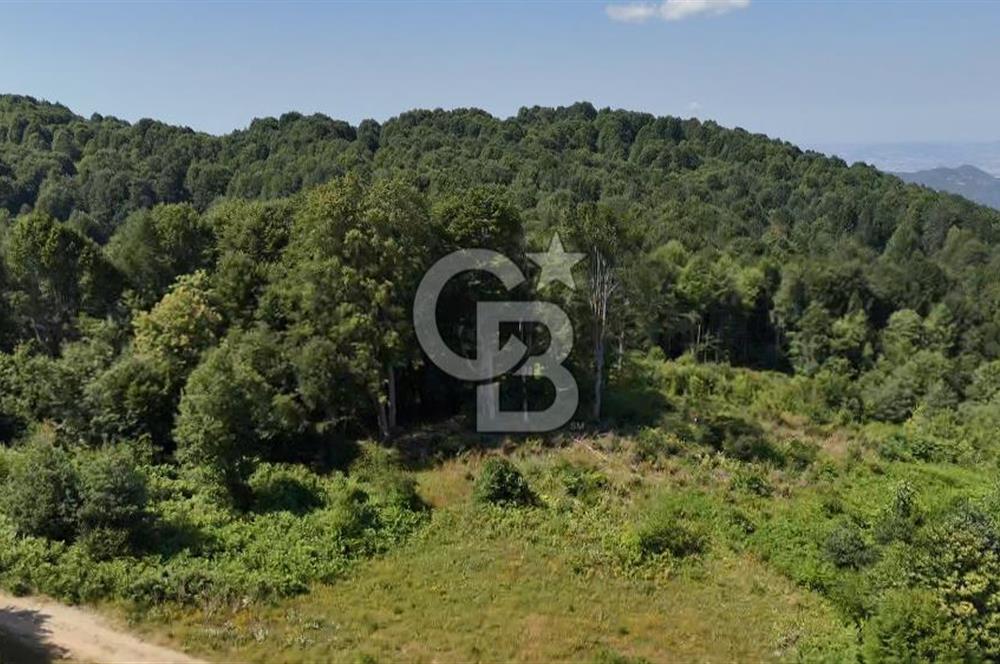 EFSANE YAYLA KİRALIK... KOCAELİ BAŞİSKELE SERVETİYECAMİ 20.676m2