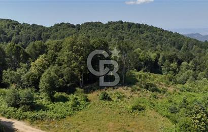 EFSANE YAYLA KİRALIK... KOCAELİ BAŞİSKELE SERVETİYECAMİ 20.676m2