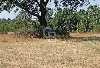 Kırklareli Merkez de 4800 m2 Tarla  - 10 - 342133