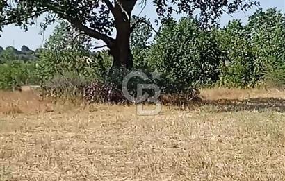 Kırklareli Merkez de 4800 m2 Tarla 