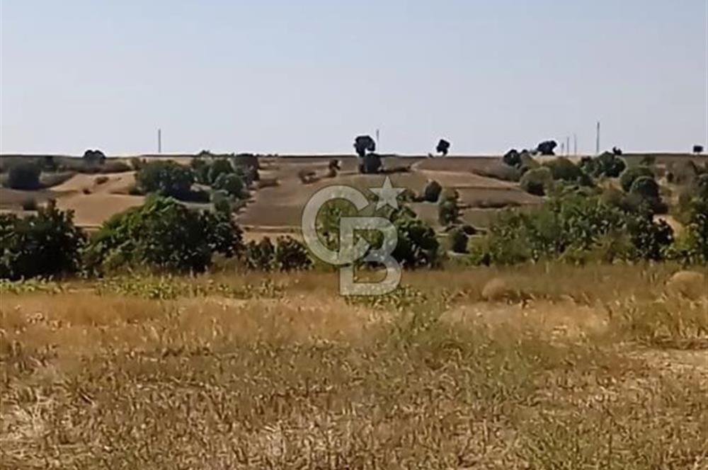 Kırklareli Merkez de 4800 m2 Tarla 