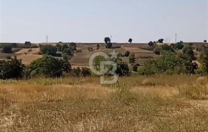 Kırklareli Merkez de 4800 m2 Tarla 