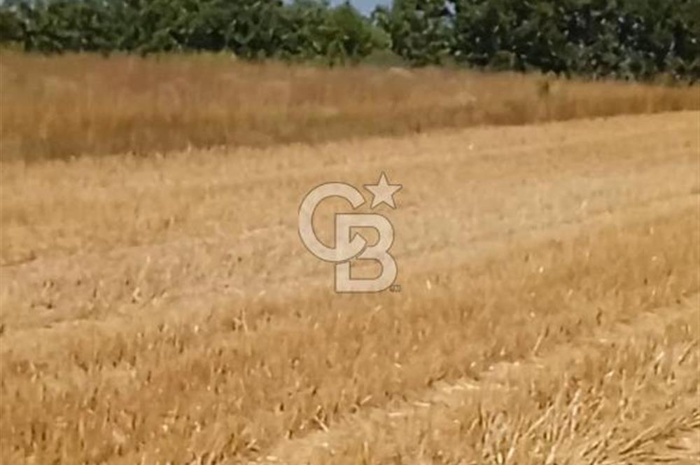 Kırklareli Merkez de 4800 m2 Tarla 