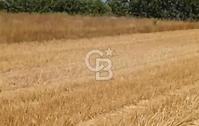 Kırklareli Merkez de 4800 m2 Tarla 