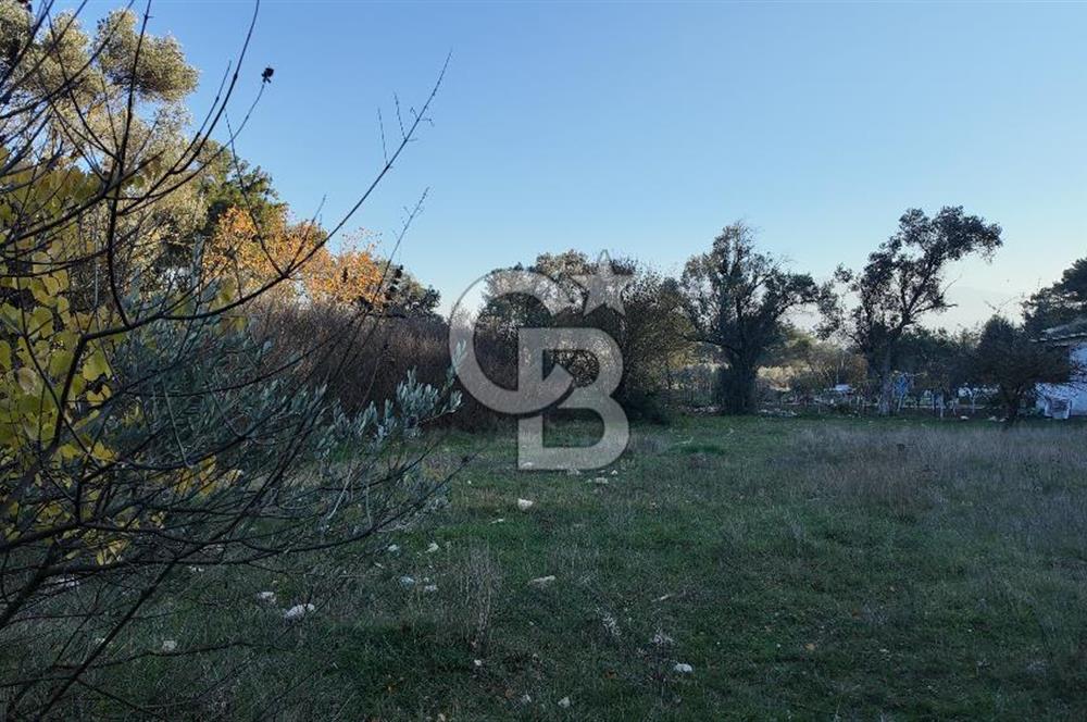 Bornova Yakaköy Orman Yanı Doğa İçinde Satılık Arazi