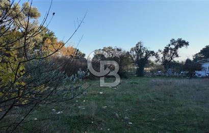 Bornova Yakaköy Orman Yanı Doğa İçinde Satılık Arazi