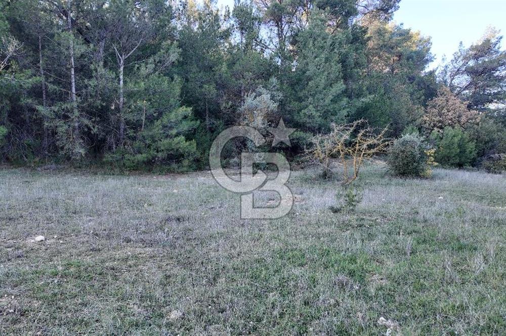 Bornova Yakaköy Orman Yanı Doğa İçinde Satılık Arazi