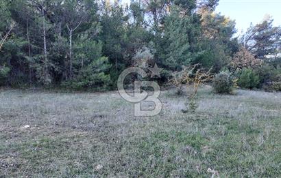 Bornova Yakaköy Orman Yanı Doğa İçinde Satılık Arazi