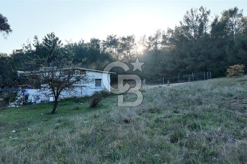 Bornova Yakaköy Orman Yanı Doğa İçinde Satılık Arazi