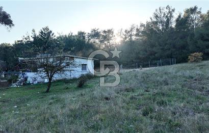 Bornova Yakaköy Orman Yanı Doğa İçinde Satılık Arazi