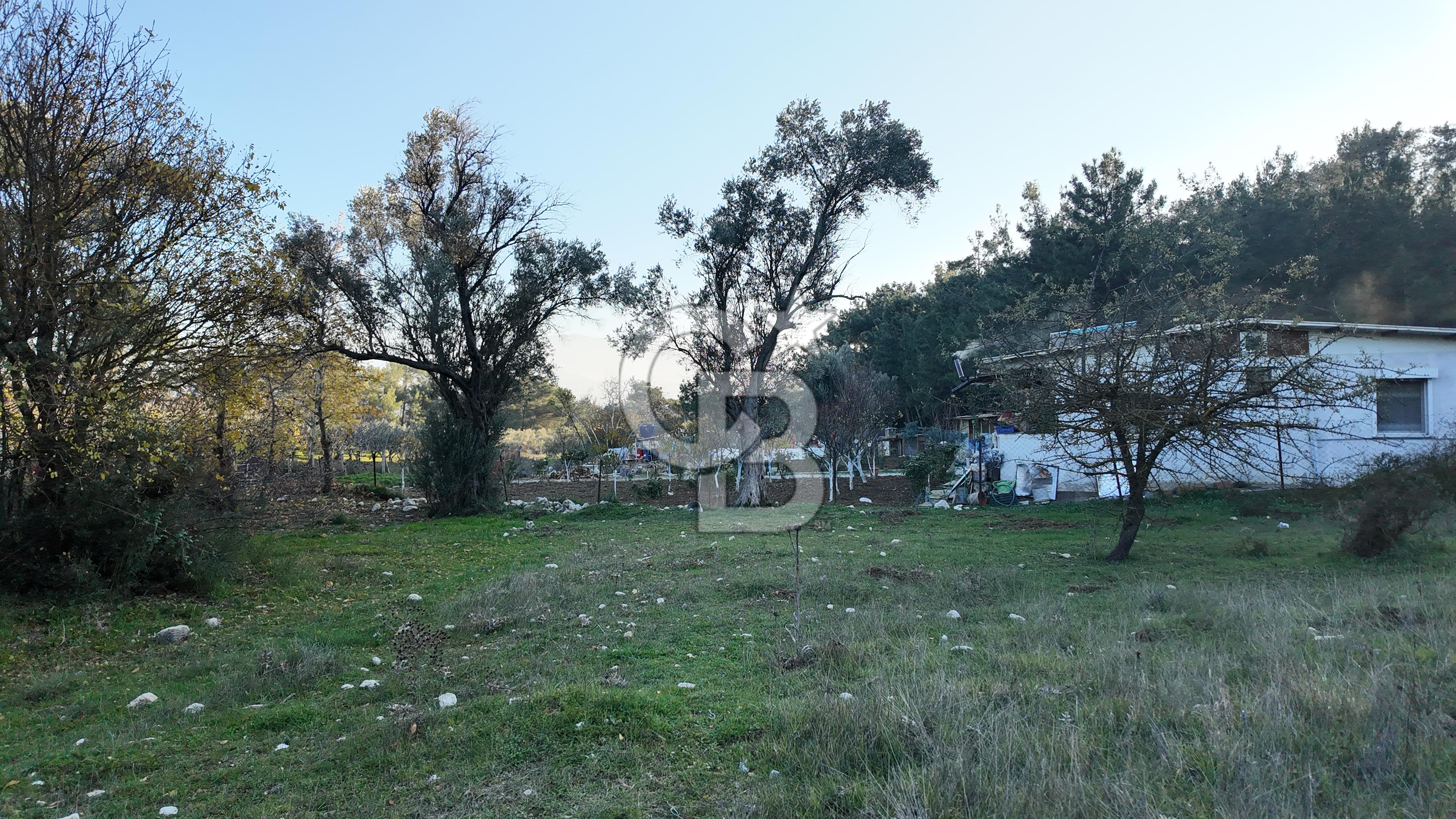 Bornova Yakaköy Orman Yanı Doğa İçinde Satılık Arazi