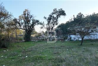 Bornova Yakaköy Orman Yanı Doğa İçinde Satılık Arazi - 1 - 342176