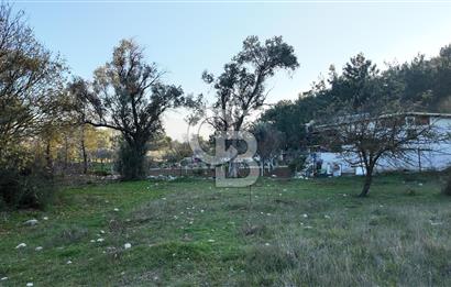 Bornova Yakaköy Orman Yanı Doğa İçinde Satılık Arazi