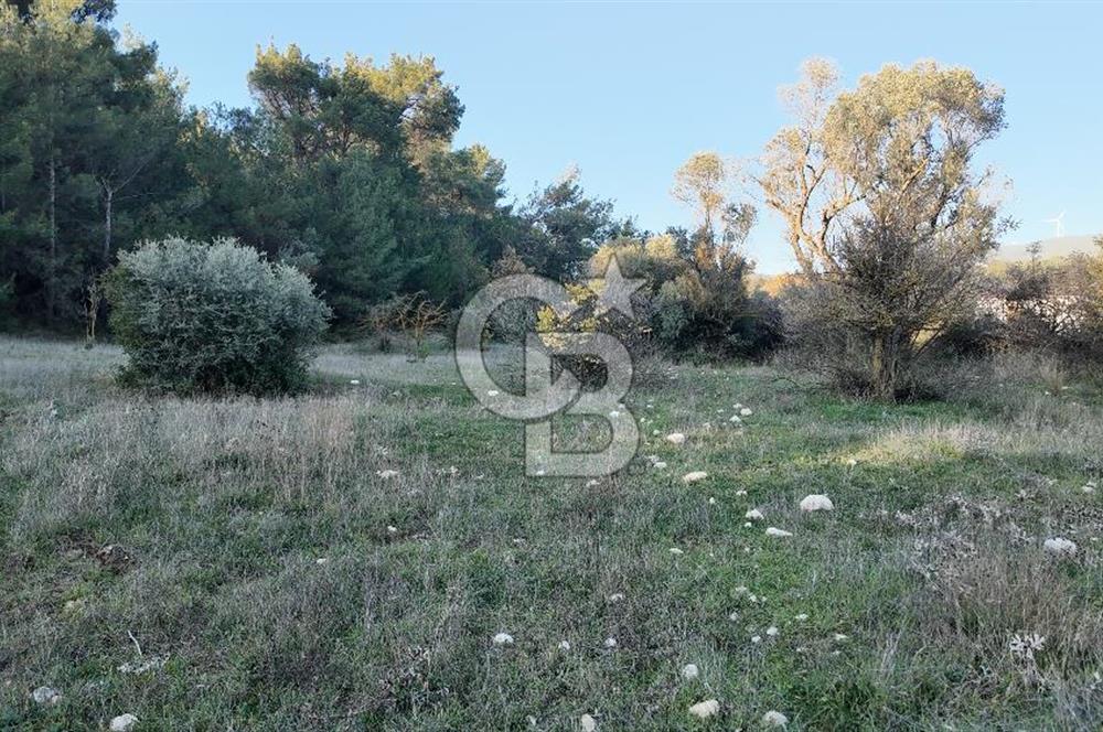 Bornova Yakaköy Orman Yanı Doğa İçinde Satılık Arazi