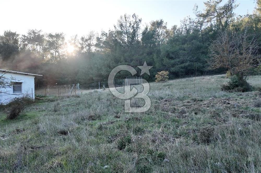 Bornova Yakaköy Orman Yanı Doğa İçinde Satılık Arazi