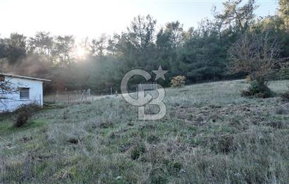 Bornova Yakaköy Orman Yanı Doğa İçinde Satılık Arazi