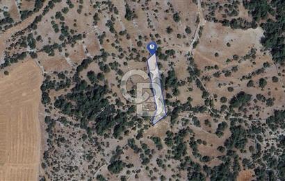 Muğla Menteşe Denizova'da  747m2 Satılık Tarla 