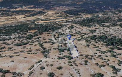 Muğla Menteşe Denizova'da  747m2 Satılık Tarla 