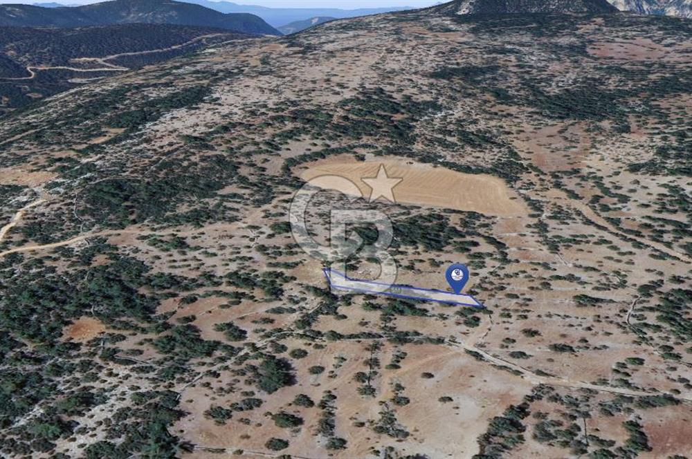 Muğla Menteşe Denizova'da  747m2 Satılık Tarla 